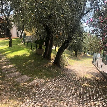 La Casa Sul Lago Apartments - Olive Tree Apartment Limone sul Garda Buitenkant foto