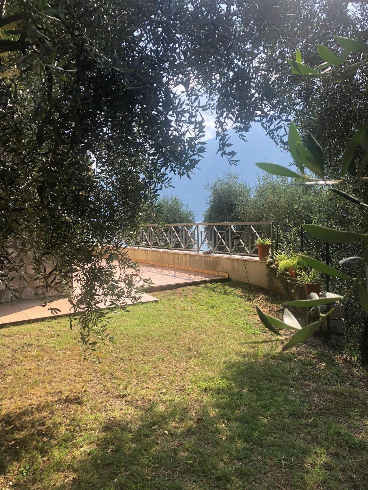 La Casa Sul Lago Apartments - Olive Tree Apartment Limone sul Garda Buitenkant foto