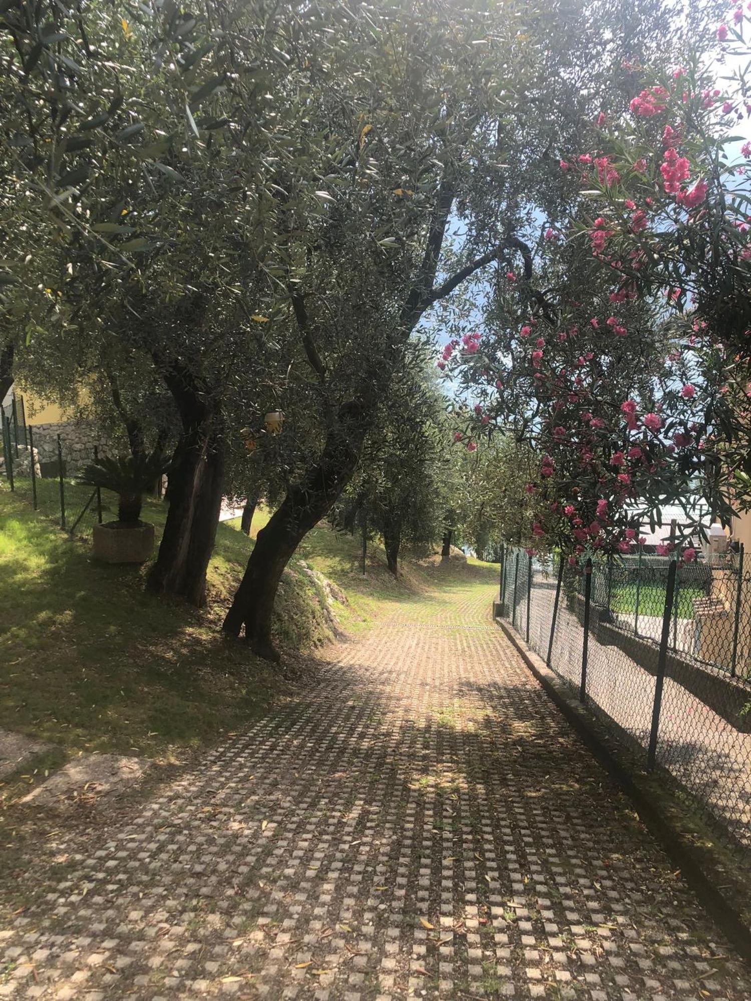 La Casa Sul Lago Apartments - Olive Tree Apartment Limone sul Garda Buitenkant foto