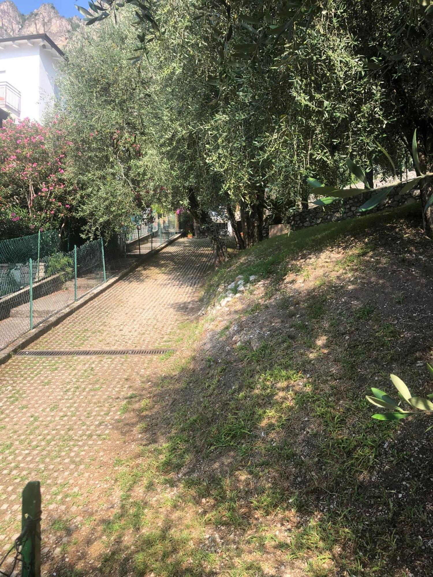 La Casa Sul Lago Apartments - Olive Tree Apartment Limone sul Garda Buitenkant foto